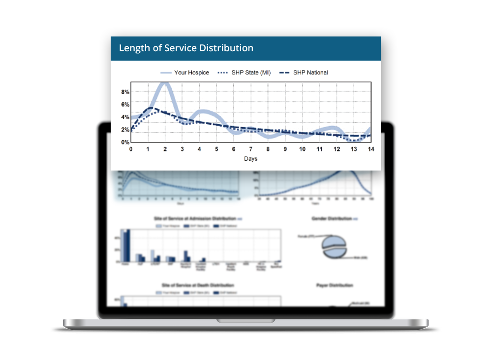 SHP Hospice Key Performance Indicators report