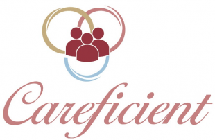 Careficient Logo