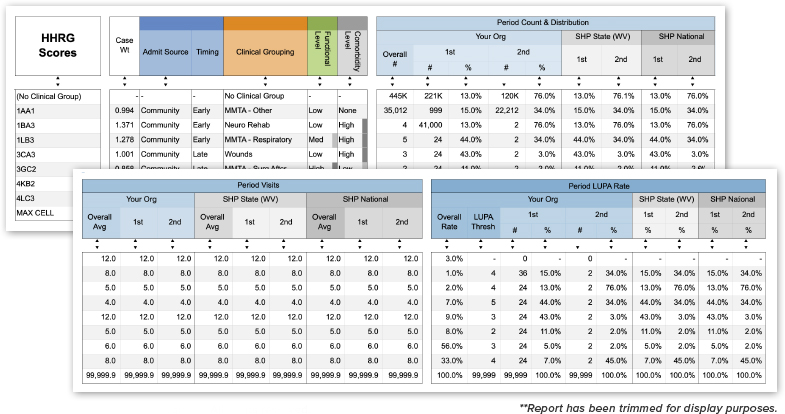 SHP PDGM Preview Report Sample