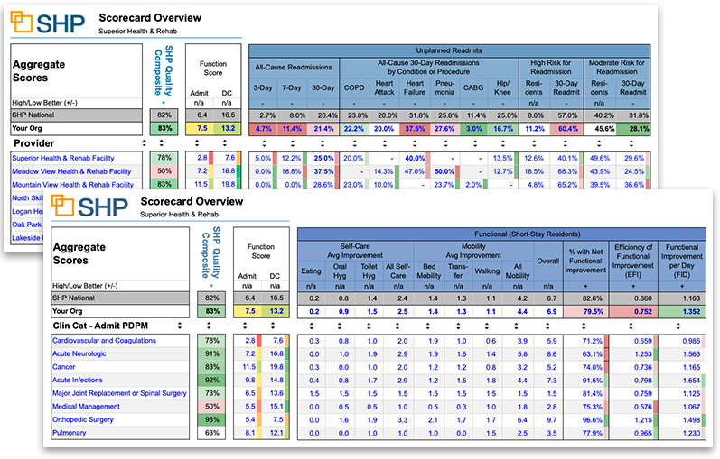 SHP for Skilled Nursing reports